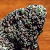 Buddha's Tooth