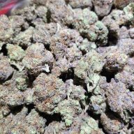 King Kush