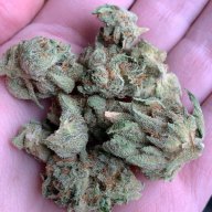 Chuck OG