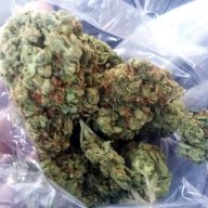 California Sour
