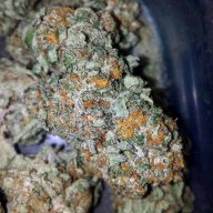 Brainwreck
