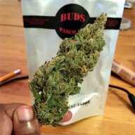 Blue Persuasion