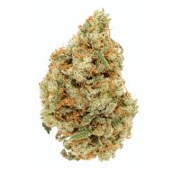 Emerald Jack