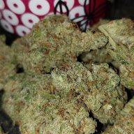 Dutch Berry