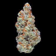 Blueberry Diesel