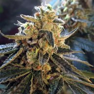 Earth OG