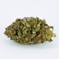 Blue Dragon