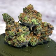 Dark Blue Dream