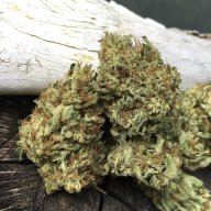 Double Barrel OG
