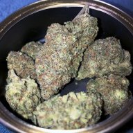 Cherry Fire