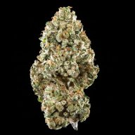 CBD OG