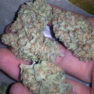 CBD Rich Blessing