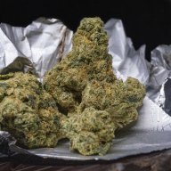 Chocolate OG
