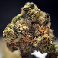 Confidential Wreck