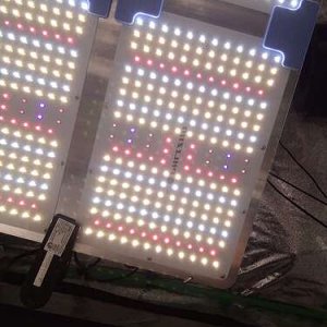phlizon_pl4500_450W_LED_grow_lights (2).jpeg