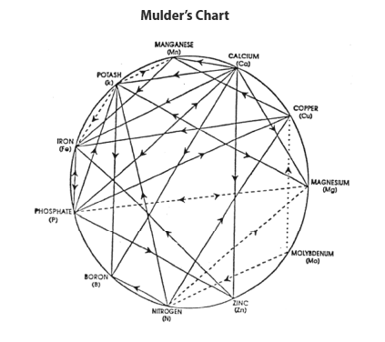 mulders_chart.png