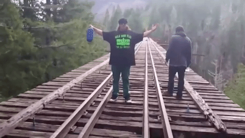 giphy.gif