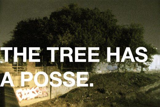 thetreehasaposse1.jpg