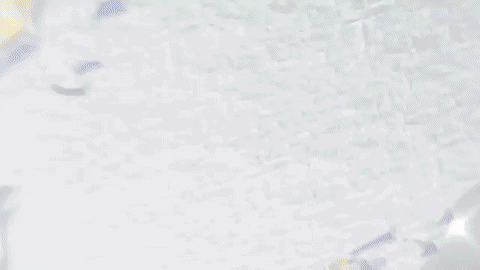giphy.gif