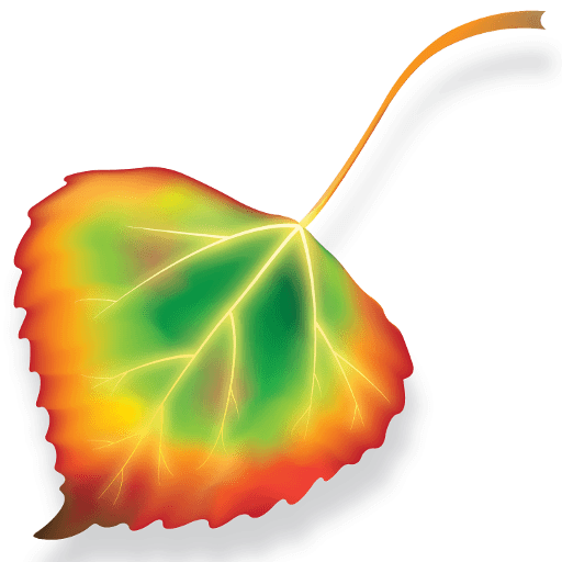 www.thenaturalfuneral.com