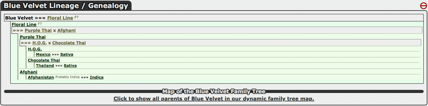 Screen-Shot-2020-11-19-at-8-41-56-AM.png