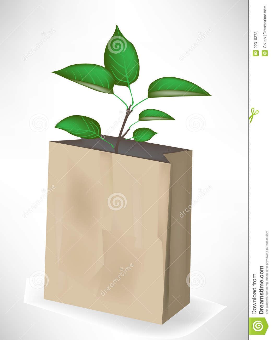 small-tree-growing-out-paper-bag-22310272.jpg