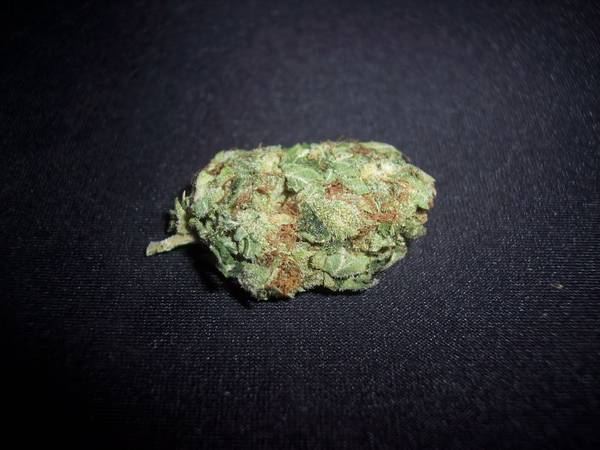 Commerical_bud2_16_08.jpg