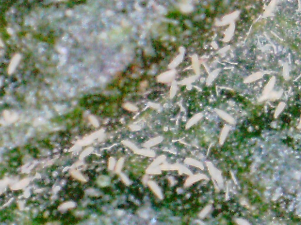 www.medicinalgenomics.com