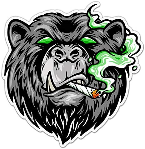 Stoner Bear Smoking Weed Marijuana Pot - 5" Vinyl Sticker - for Car Laptop I-Pad - Waterproof Decal