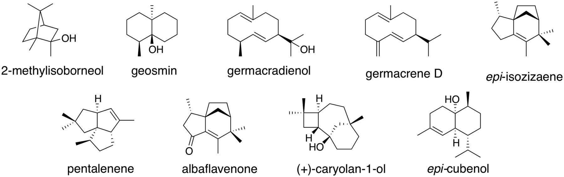 www.pnas.org