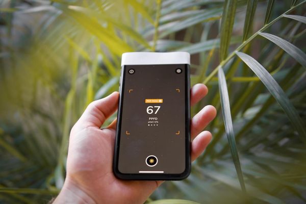 growlightmeter.com