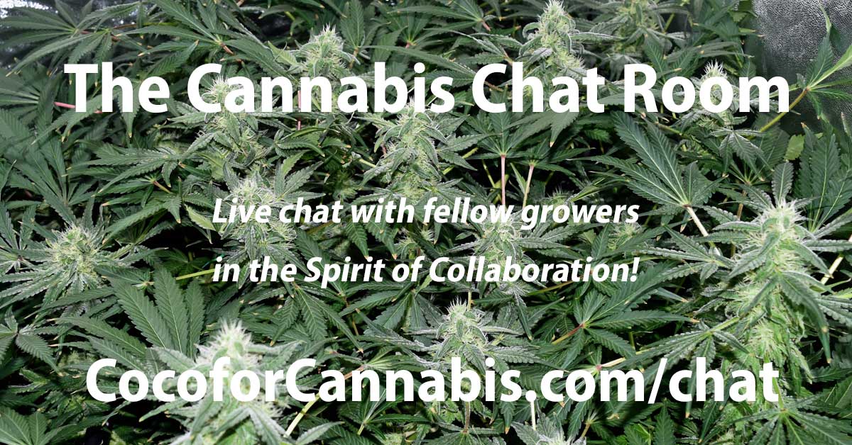 www.cocoforcannabis.com