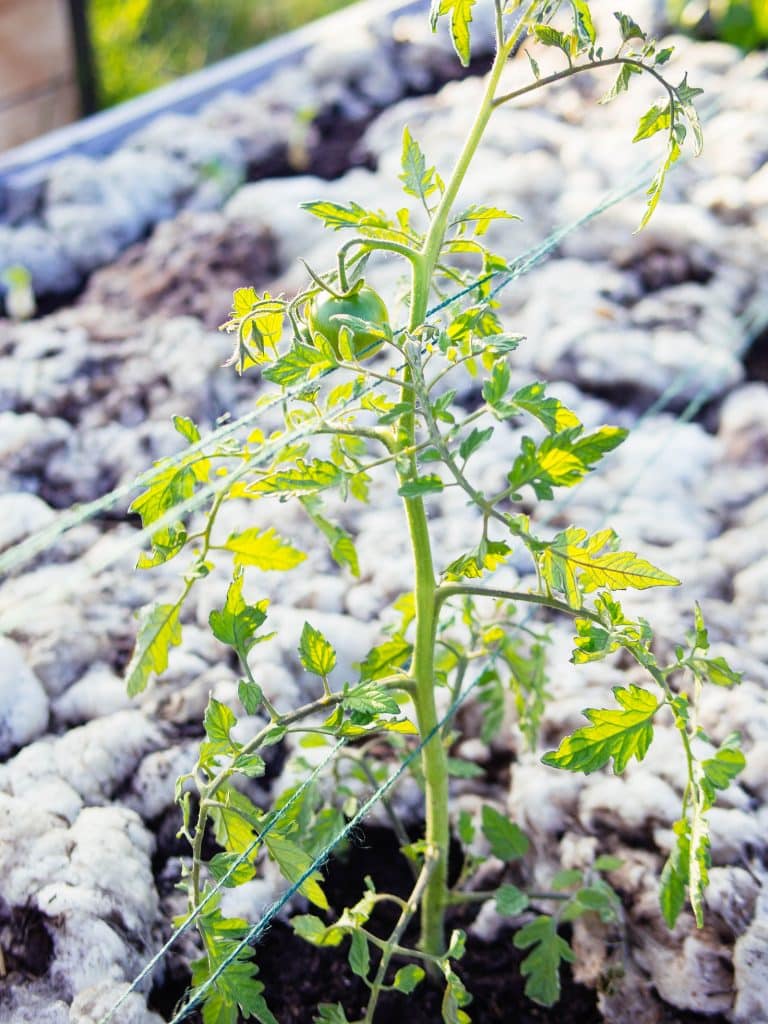 gardenbetty.com