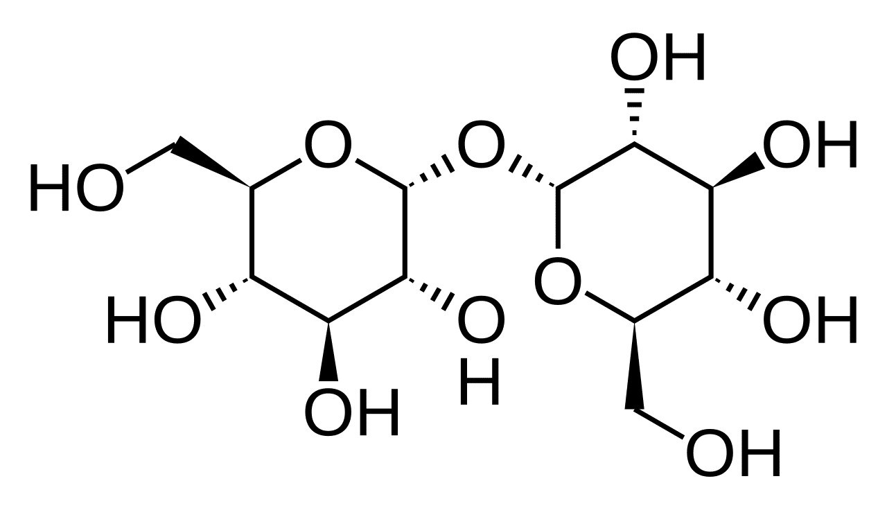 en.wikipedia.org