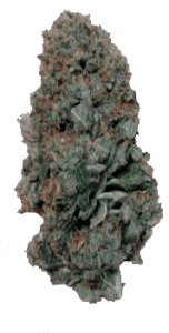 ogkushbud-152x300.png