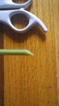 5853202_f120.jpg