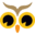 nightowlseeds.com