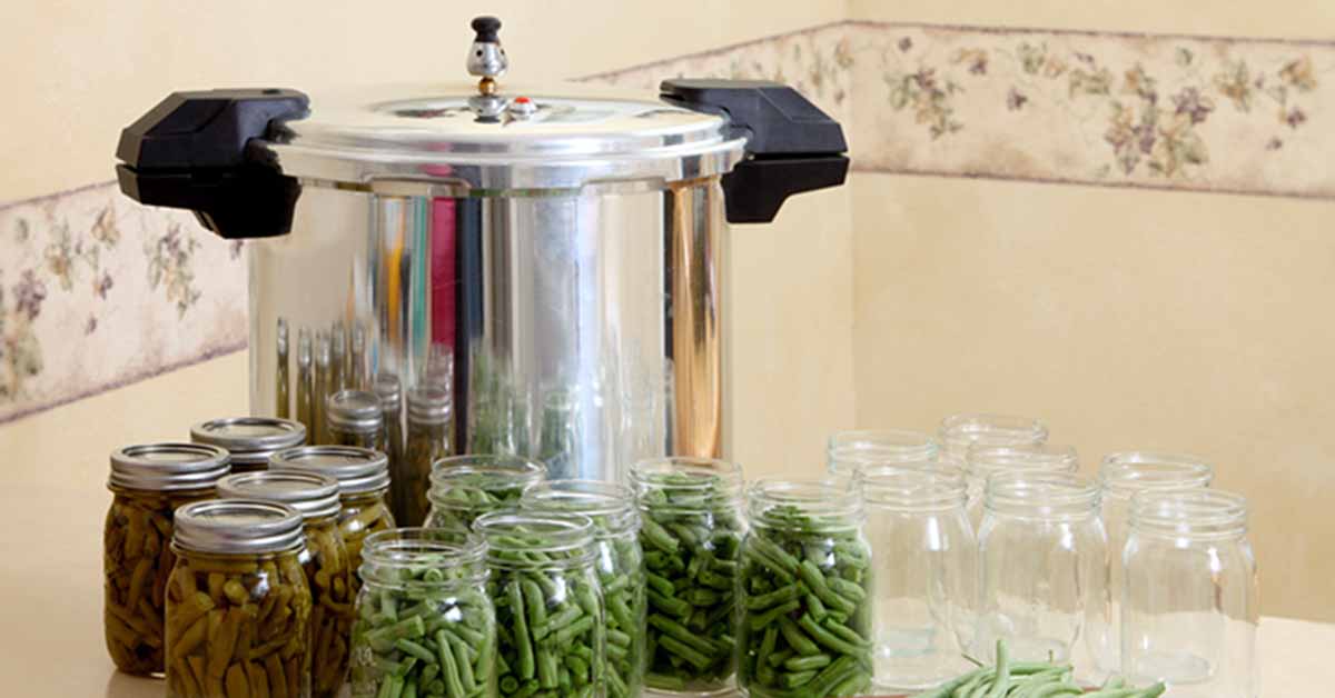 foodal.com