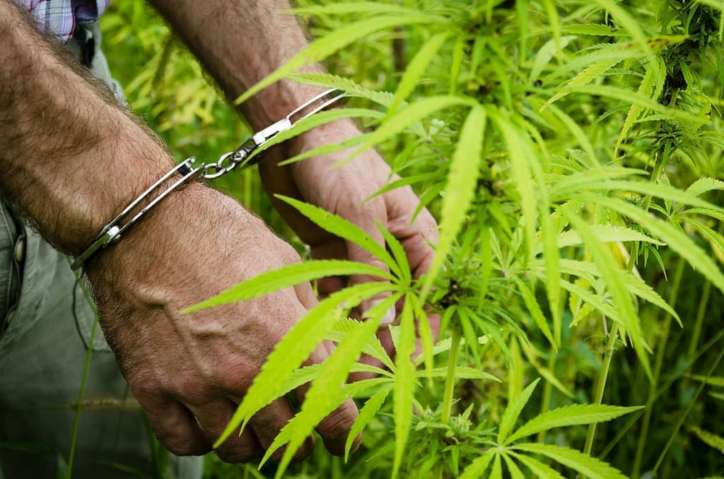 www.marijuanamoment.net