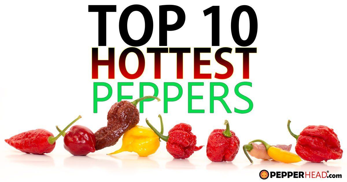 pepperhead.com