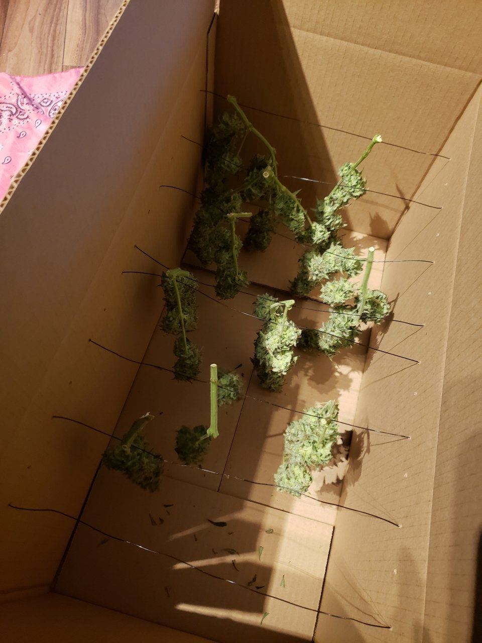 20190716_202623.jpg