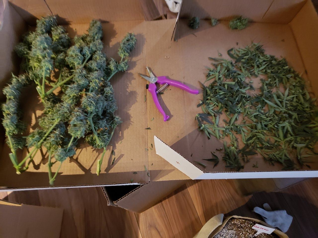 20190716_202308.jpg