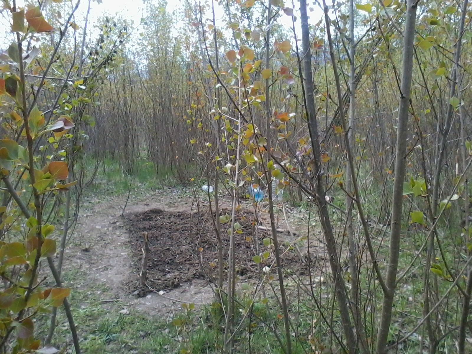 rgh1335105943f.jpg