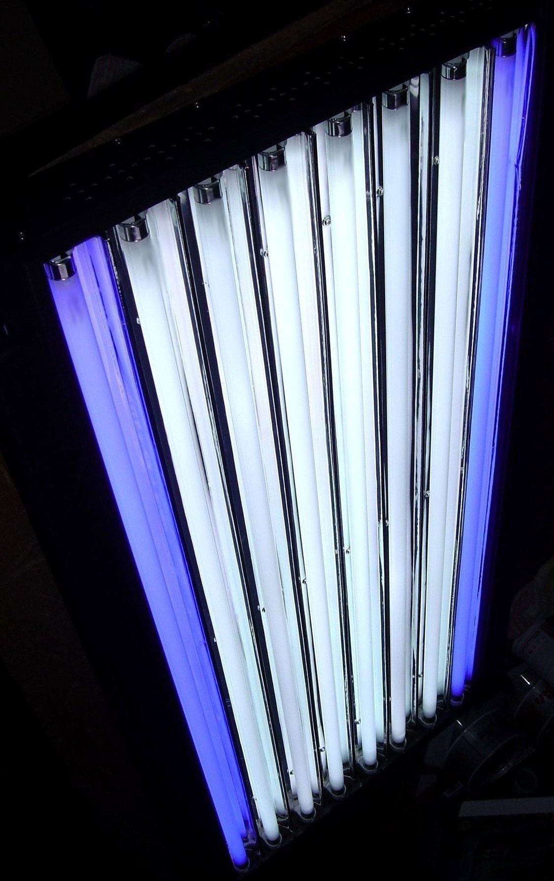 8_bulb_T5_light_3a.jpg