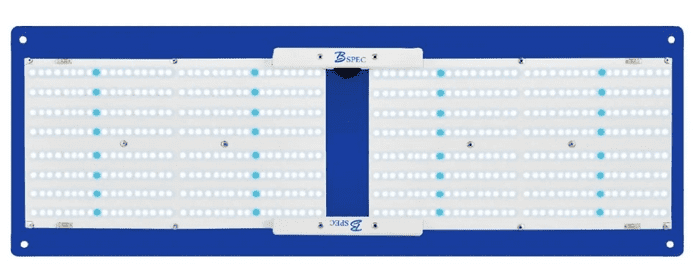 blue grow light