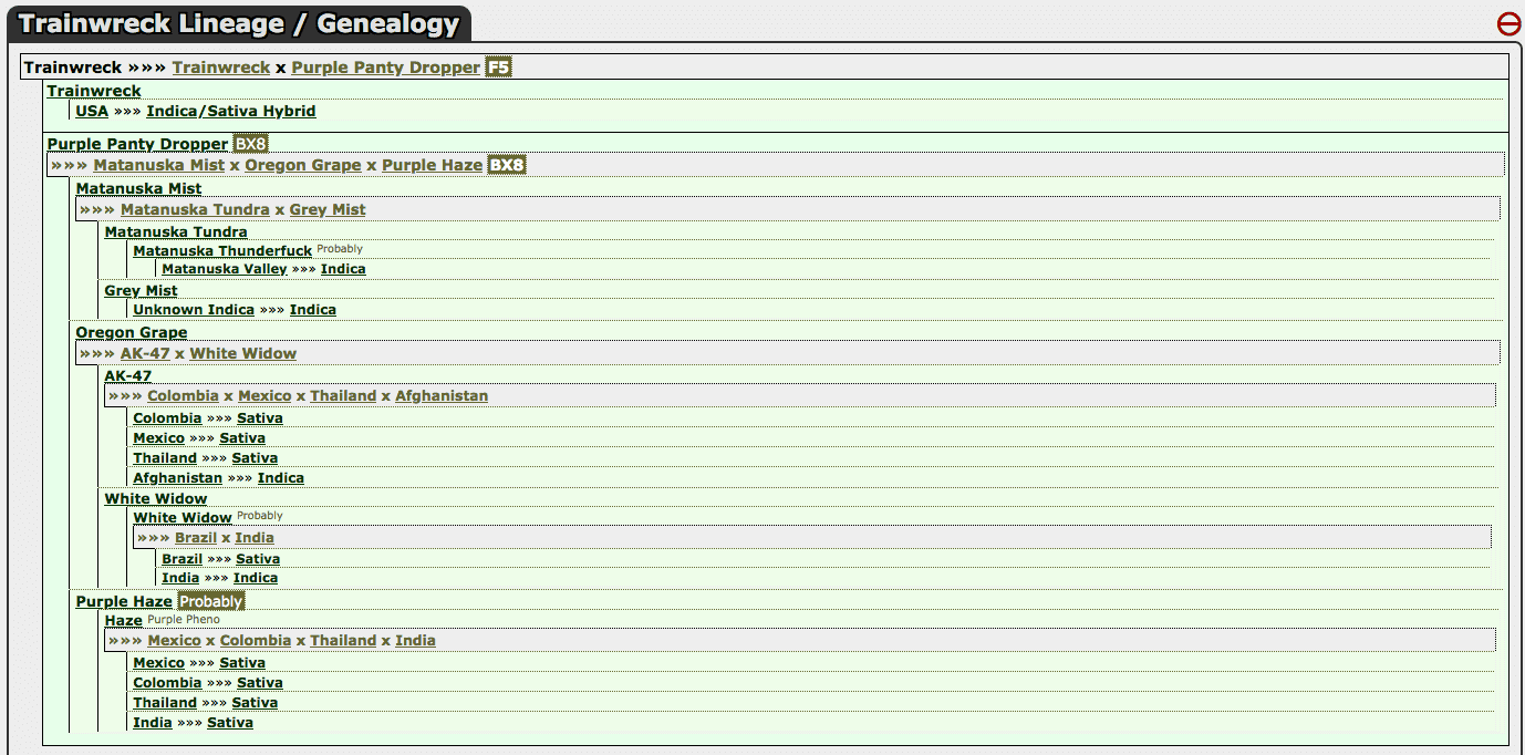 Screen-Shot-2020-11-19-at-7-51-10-AM.png