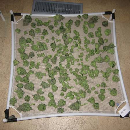 growdiaries.com