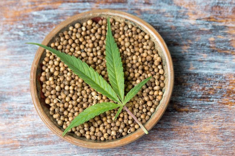 blueforestfarms.com