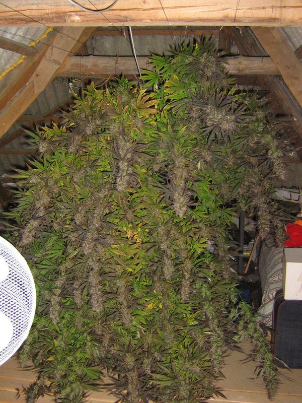 12522IMG_6952.JPG