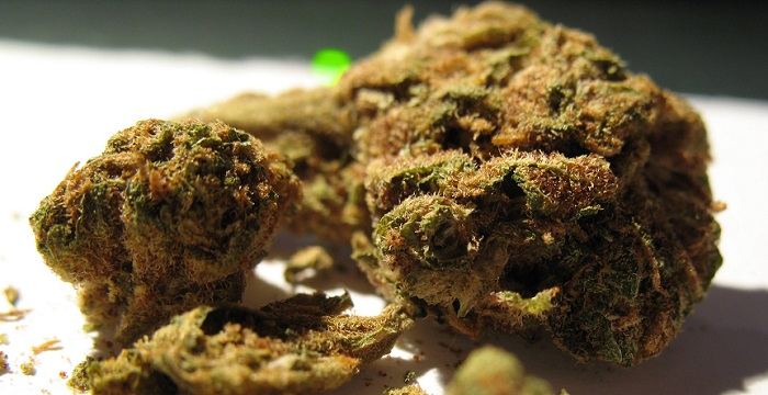www.thecannabisadvisory.com